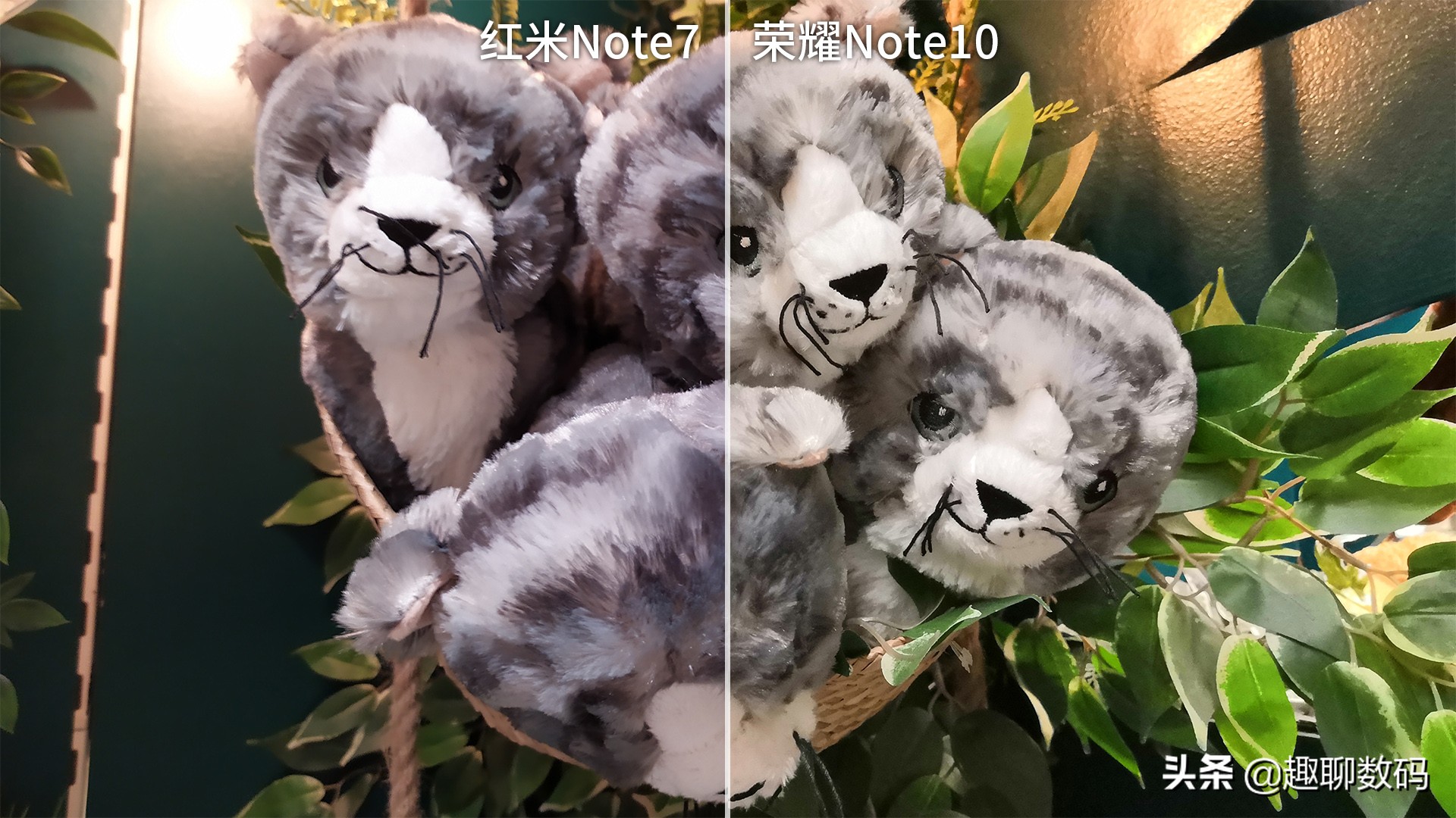 红米note7拍照评测,红米note7拍照对比红米note7pro