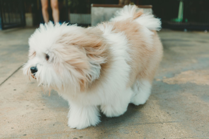 多次曼谷,整理了这份美食攻略,曼谷怎么吃,戳进来