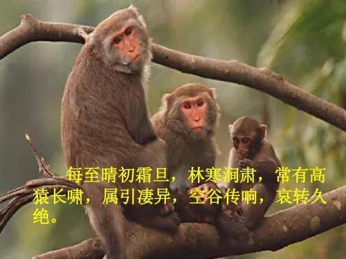 互文这种修辞手法有什么好处,互文是一种怎样的修辞手法