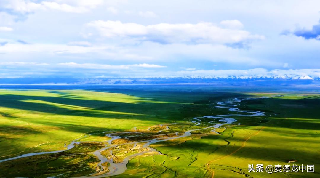 美厨课堂土豆丝,尼雅黑鸡活鸡乌鲁木齐哪里售卖