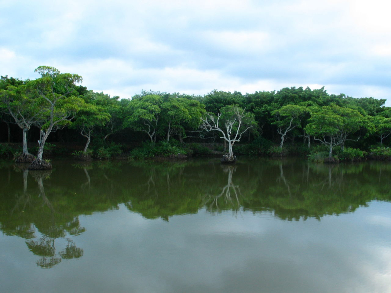 海南租车别克7座每天价格,海南自驾租车最便宜