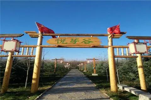 西安周边亲子农场,西安周边适合带孩子去农场的地方