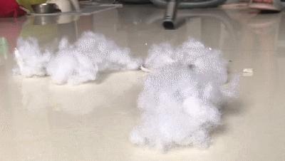 家狗身上痒有脱毛现象怎么办,狗到夏天脱毛特别严重