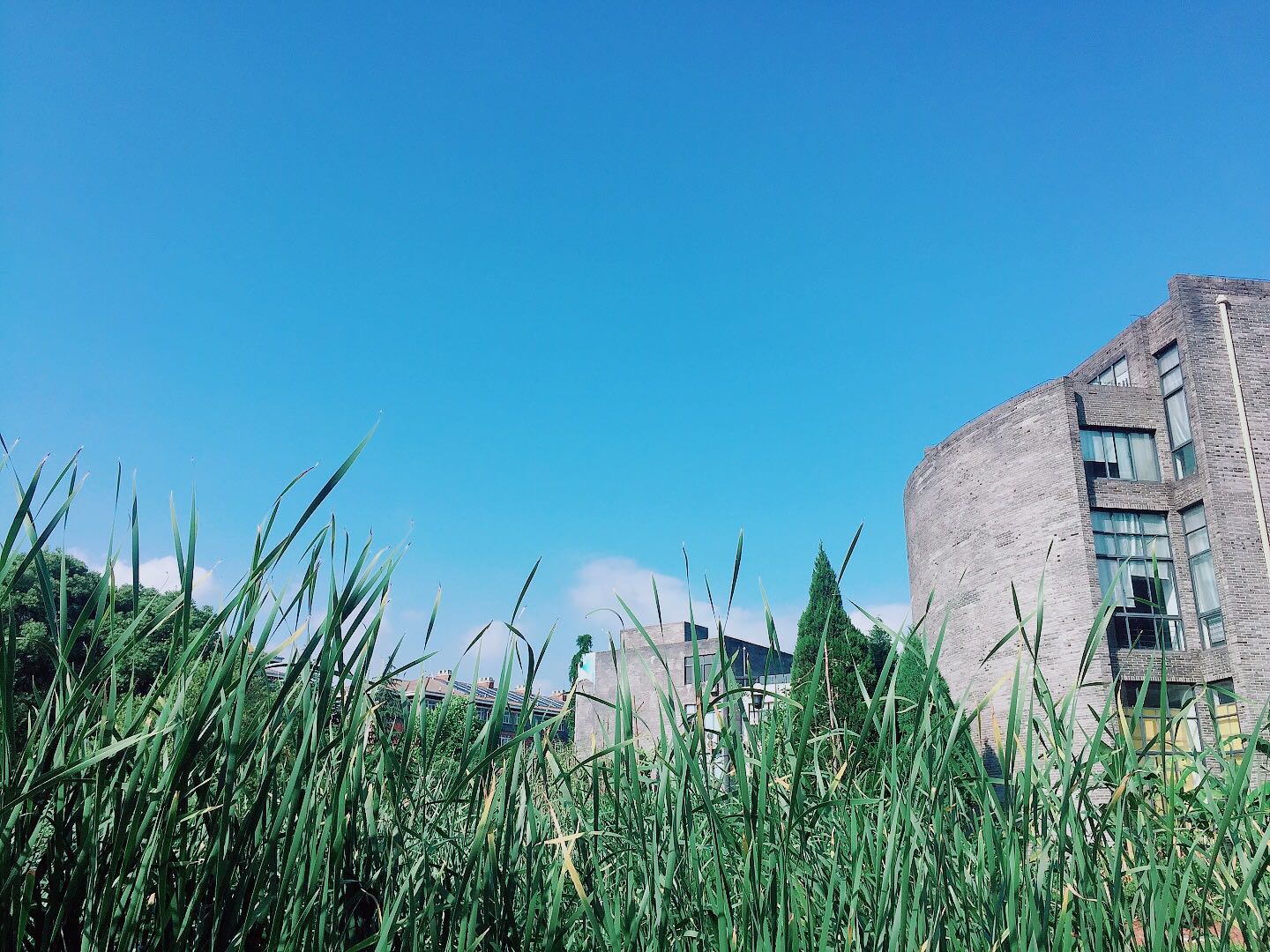 武汉这个美得像城堡一样的大学,你打卡了吗?