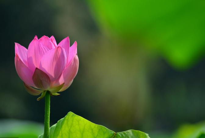 期货交易的安全,期货市场上的信号值得警惕