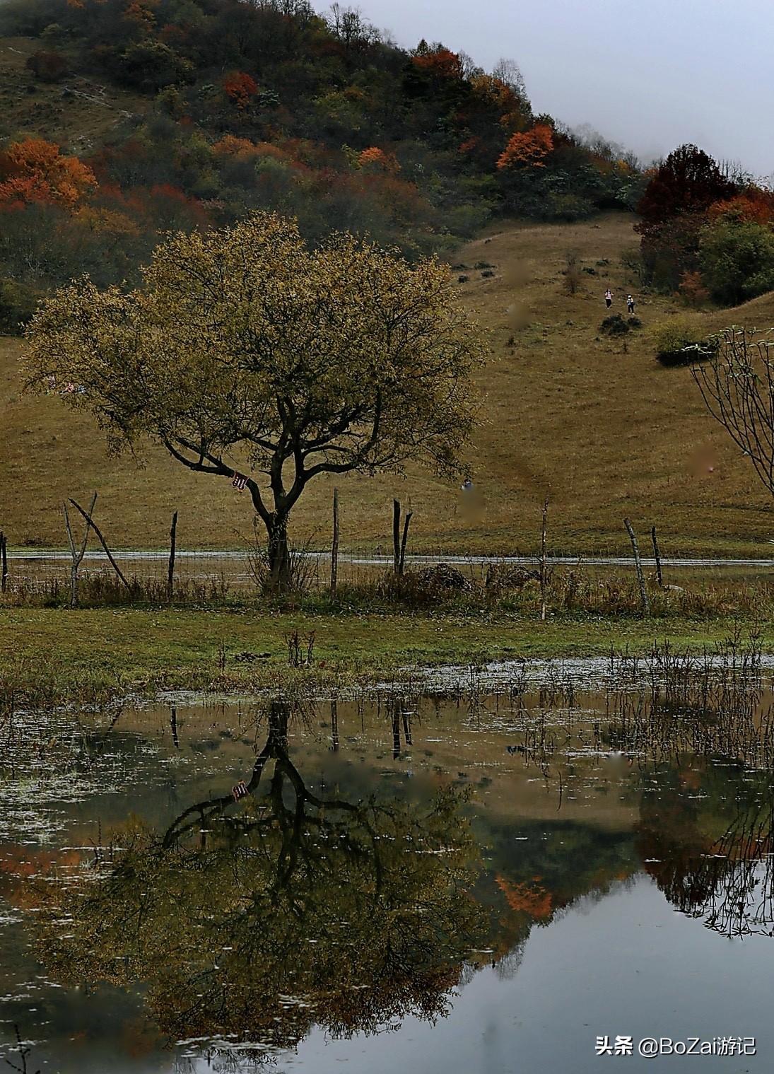 去云南丽江必游景点攻略,去云南丽江旅游必去景点