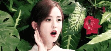 当钟楚曦和江疏影同穿印花连衣裙,倪妮钟楚曦写真