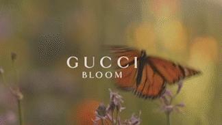 大牌香水推荐miumiu,大牌平价香水爱马仕