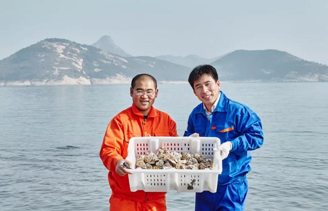 乳山生蚝和普通生蚝的区别10斤装,乳山生蚝鲜活特大生蚝