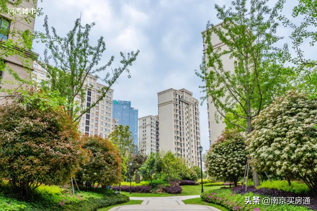 河西中新豪宅全景图,河西中心豪宅内部图片