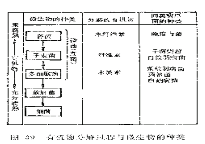 土壤病害最佳解决方法,土壤管理的目的是什么
