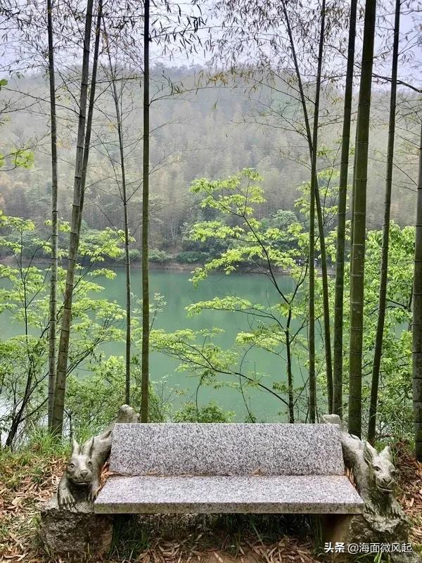 湖北宜兴竹海天然氧吧,宜兴天然氧吧森林公园