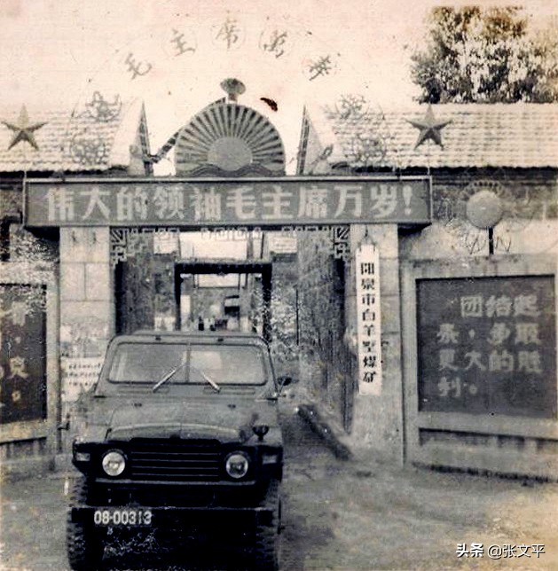 煤炭美称,煤炭的优雅叫法