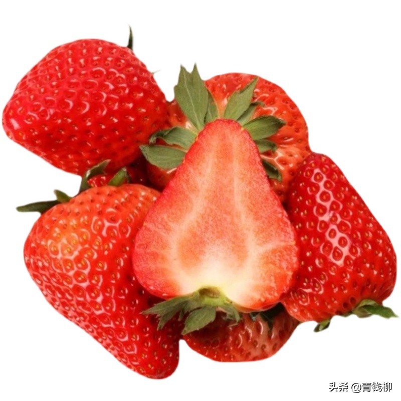 九九草莓可以露地栽培吗,适宜南方露地栽培的草莓品种