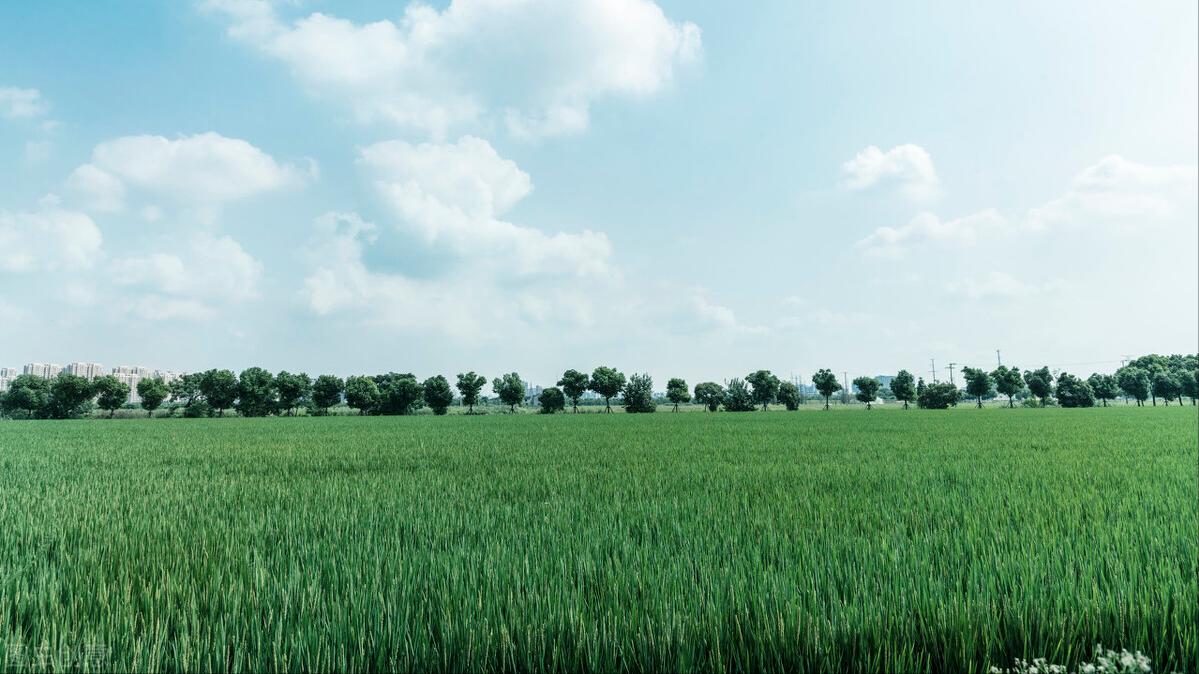 古文观止精讲选读37五柳先生传,五柳先生传讲解古文观止