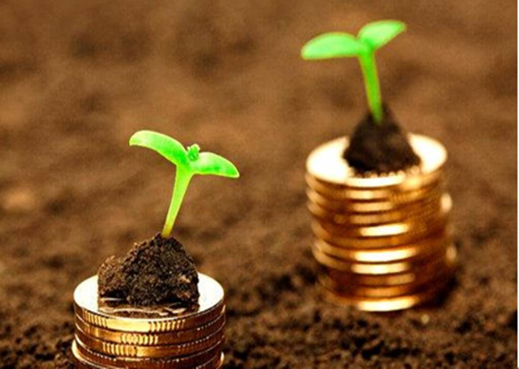 严查农村空壳社,空壳社清理政策