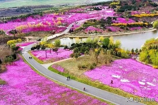 全部免费漫画下载,全部免费短视频app