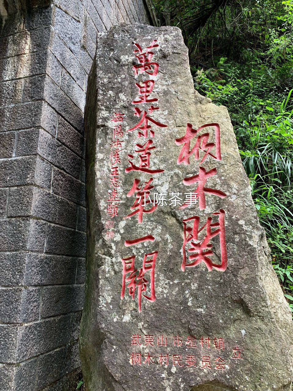 金骏眉假茶案例,揭秘顶级正山小种红茶金骏眉