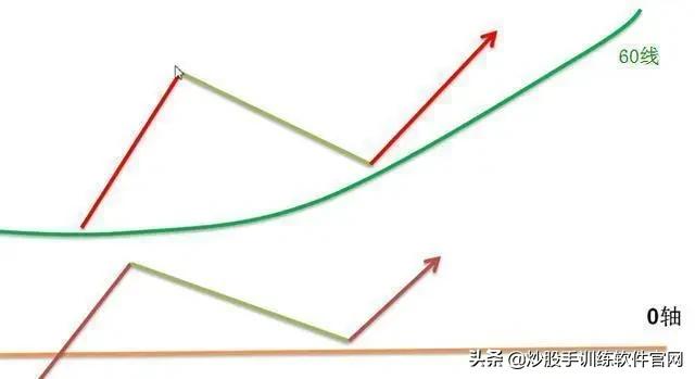 像乌龟一样趴着炒股,像麻雀一样的股票