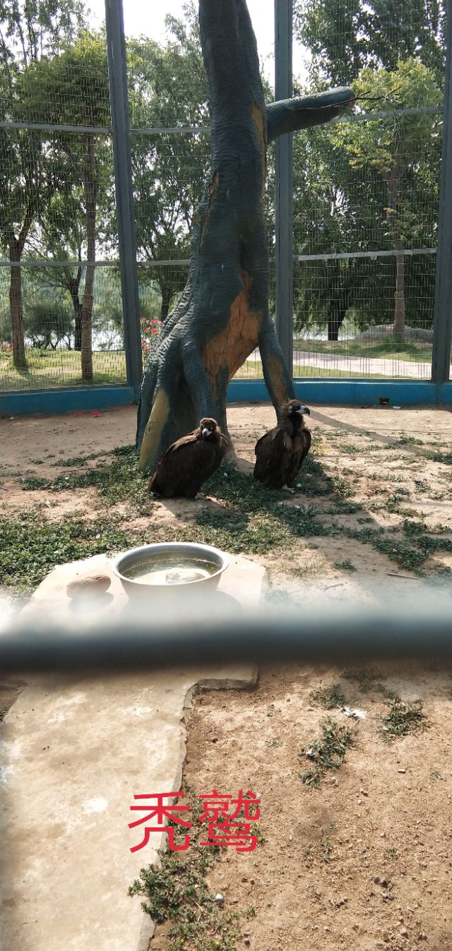 德州动植物园位置,德州动植物园免费吗