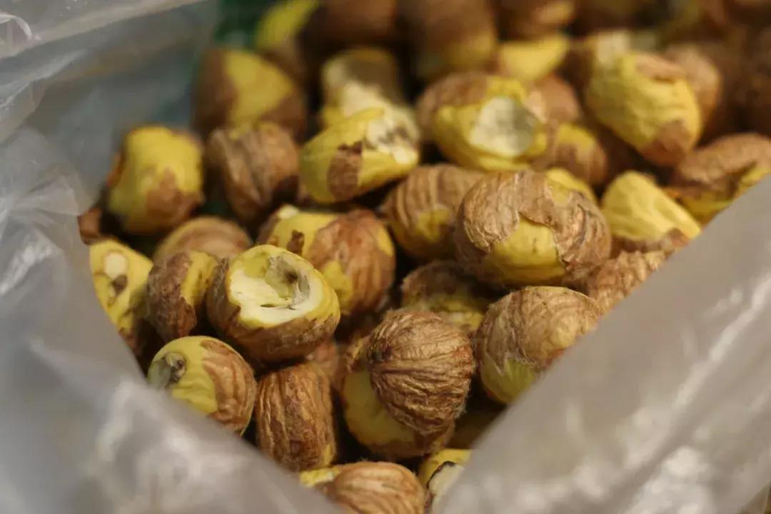 金味栗子在南京有几家店,好吃的栗子店有哪些