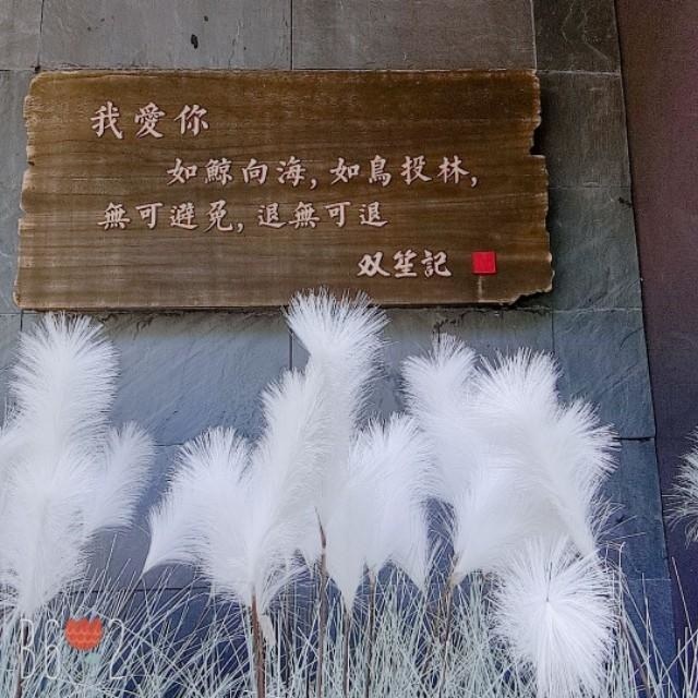 你别太得意小说全集,你别太得意英文