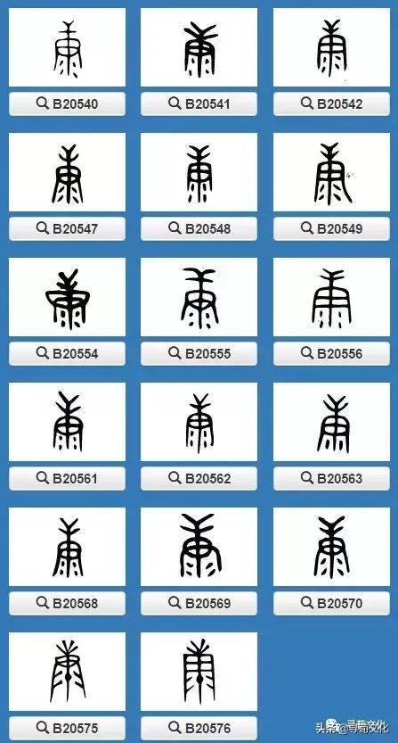 康汉字写法,曹汉字的艺术与中华姓氏文化