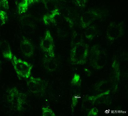 新西兰抗衰老药,新西兰初抗老