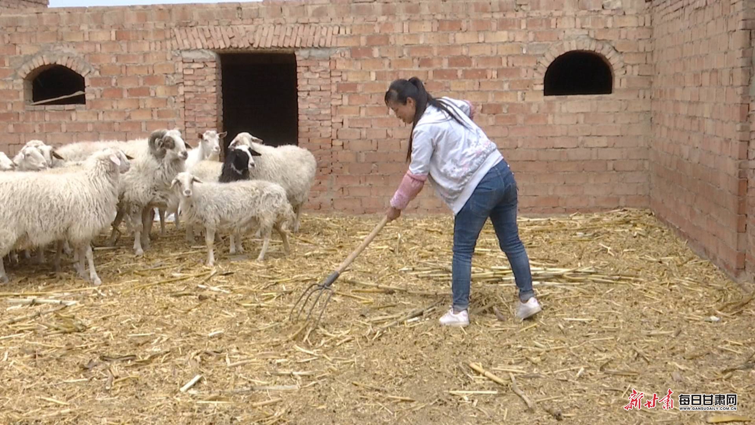 靖远县农村危房改造,白银市2019农村危房改造标准