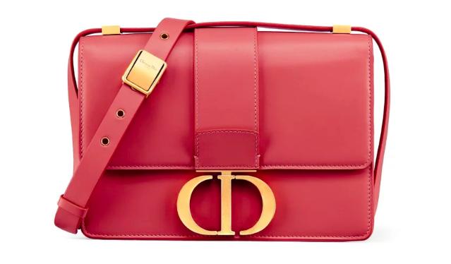 是谁动了我的奶酪,是谁动了猫咪的奶酪