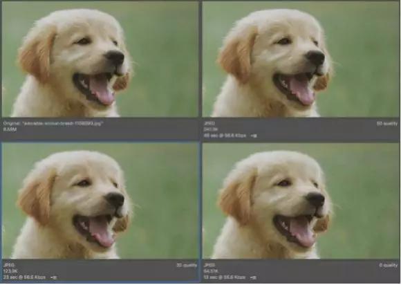 jpeg没有版权吗,jpeg是不是可以打开