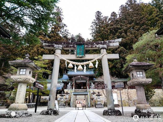 日本pitta口罩,日本买口罩用什么软件