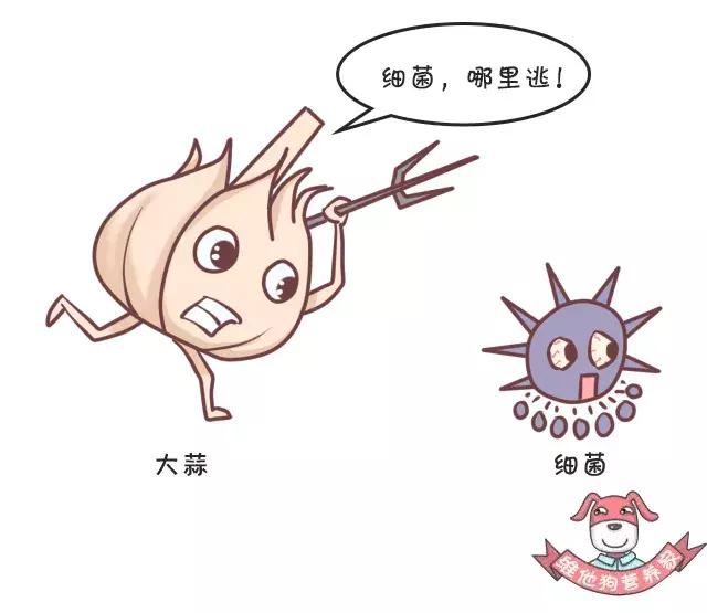 香菜、香椿……这些有味道的蔬菜,吃了有什么好处?