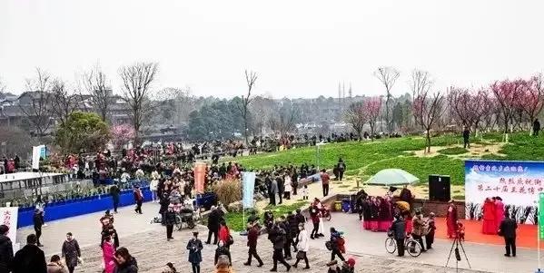 街子古镇兰花节,2021街子兰花博览会开幕式