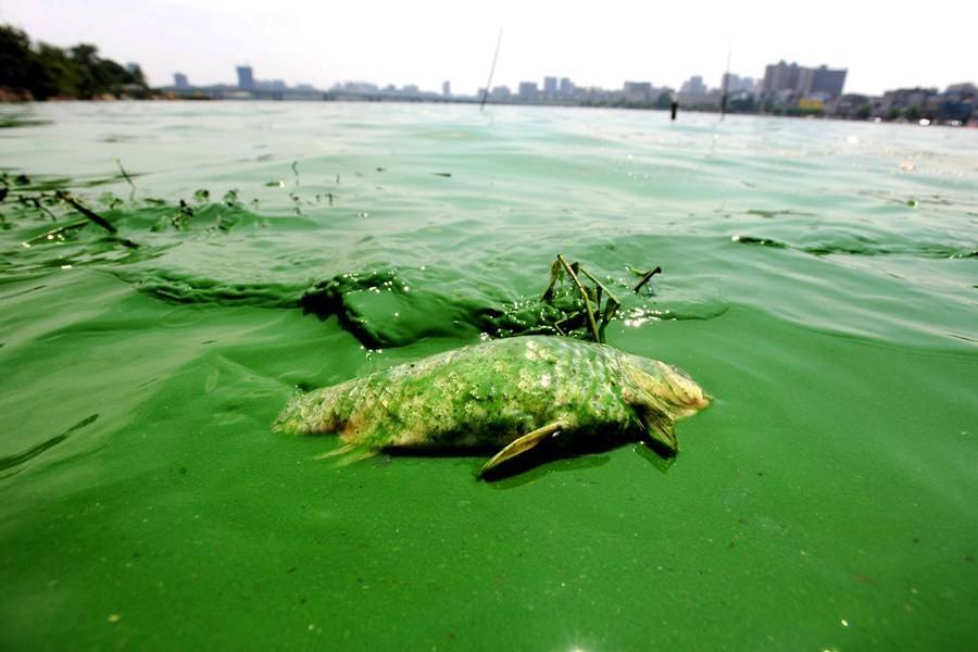 中国水质排名哪里的水质最差,最新全国水质排行榜