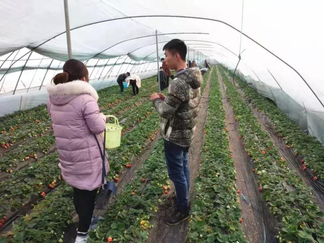 禹州清明踏青旅游攻略,禹州春游爬山的好地方