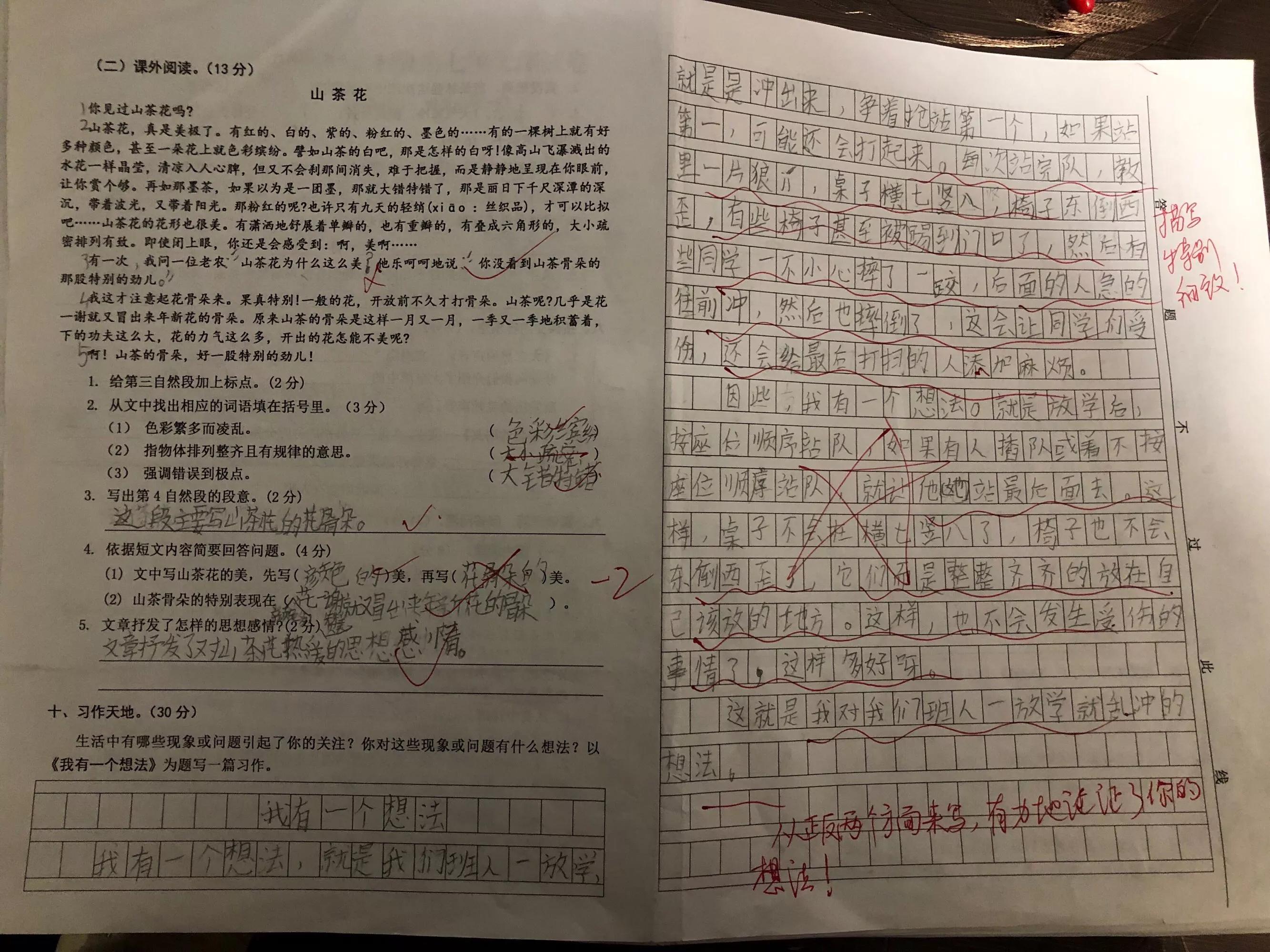 播下一颗种子收获一份快乐,播下一粒成长的种子