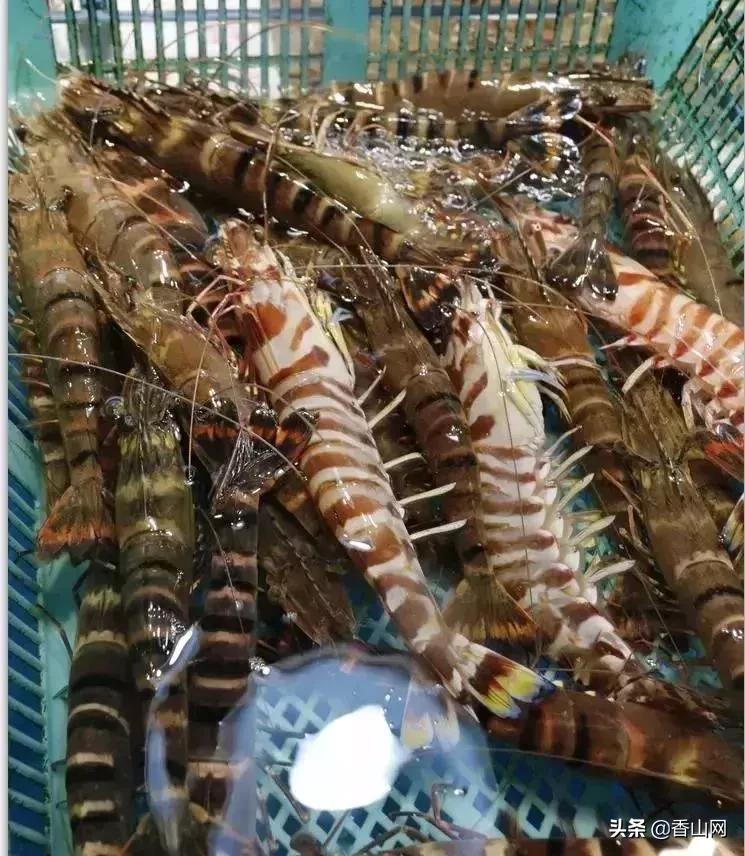 珠海有哪些海鲜街,珠海南屏海鲜街