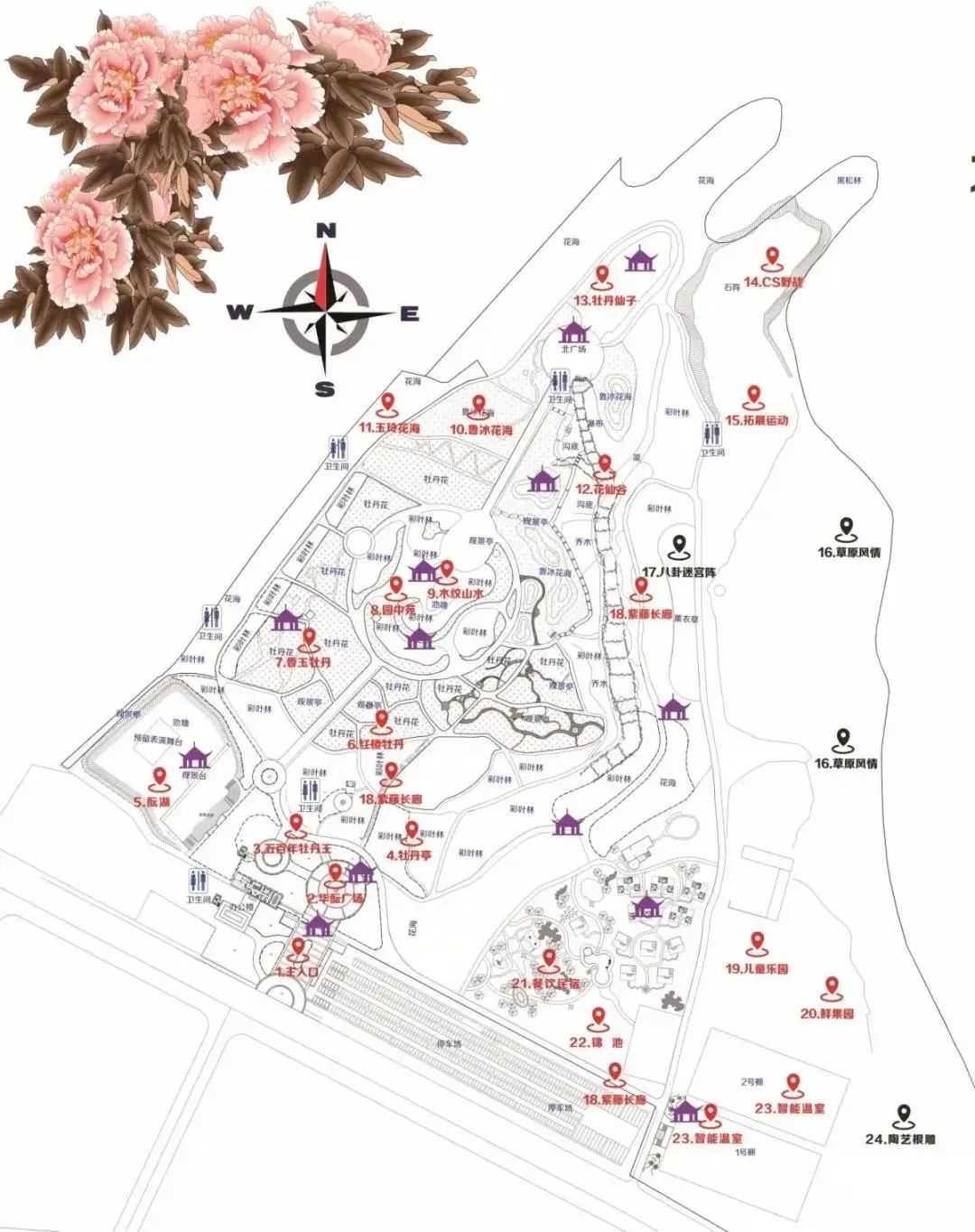 华酝牡丹园紫藤花,华酝牡丹园格桑花