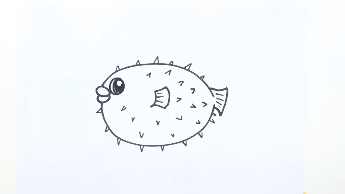 十种鱼的画法,鱼画法简笔画