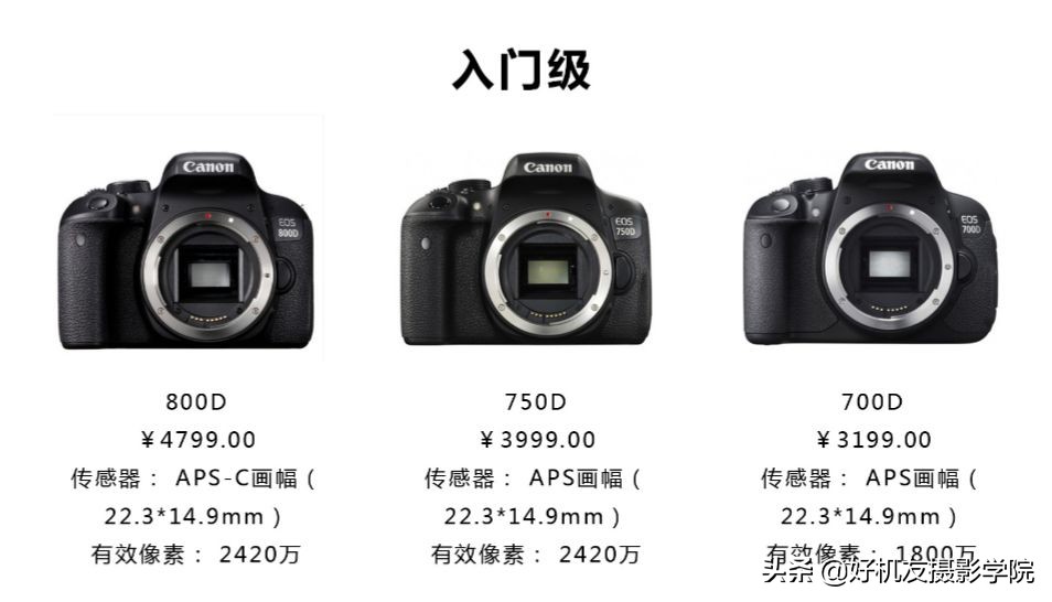 摄影初学者选择什么相机和镜头,新手小白入门摄影推荐相机镜头