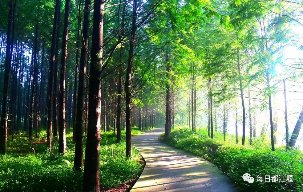 壮丽70年·奋斗新时代|农村电商让都江堰农旅产品“香”起来!