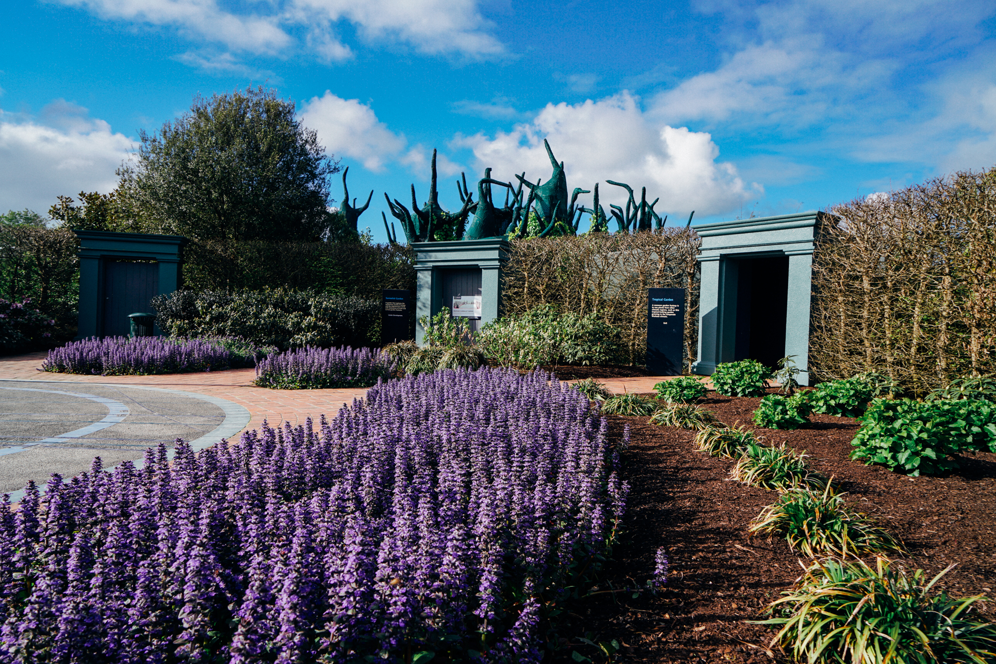 为什么说新西兰是纯净的,新西兰北岛有值得去的地方吗