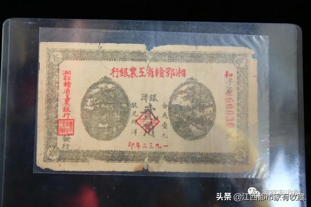 斗宝大赛决赛,斗宝大赛2019夺冠