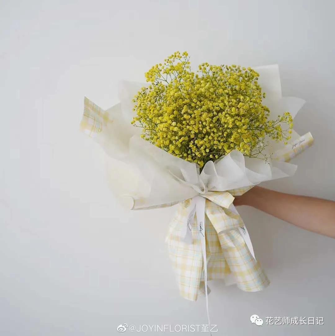 满天星什么色好看,推荐好看颜色满天星