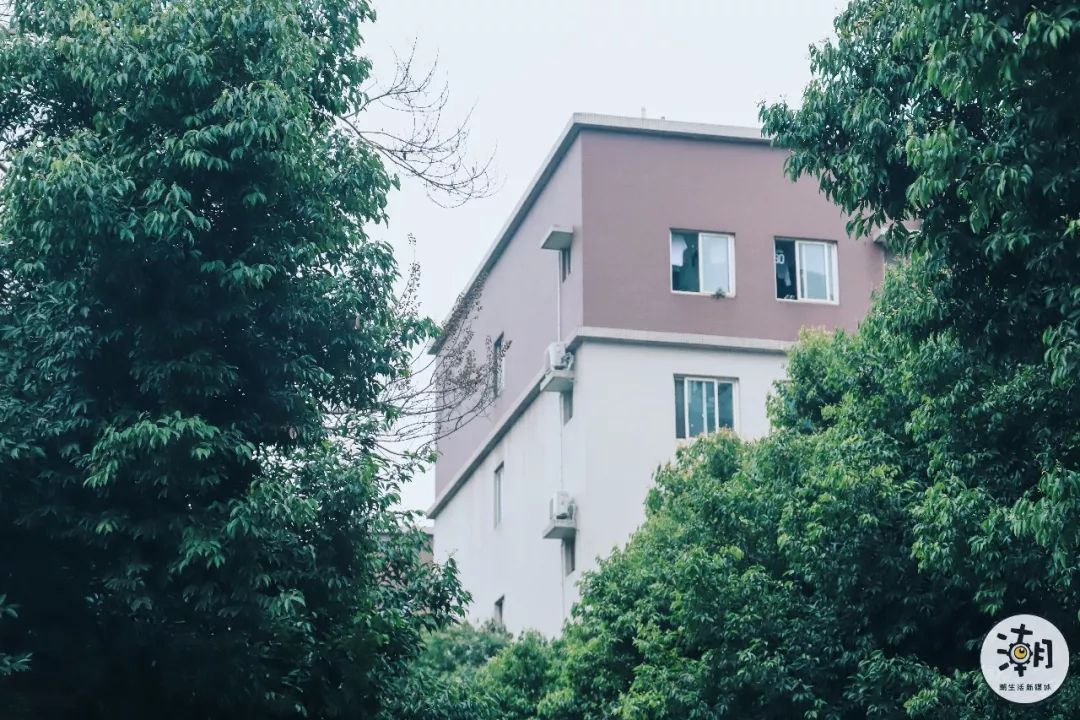 閿﹀煄鐨囧璐垫棌瀛﹂櫌,鎴愰兘閿﹀煄璐垫棌瀛﹂櫌