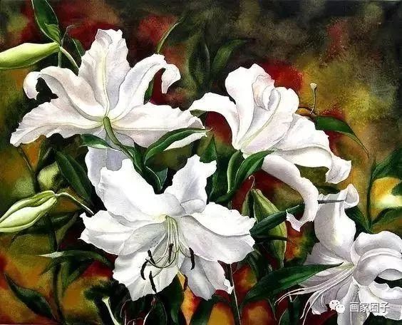 100种漂亮花卉图片,100张漂亮花图