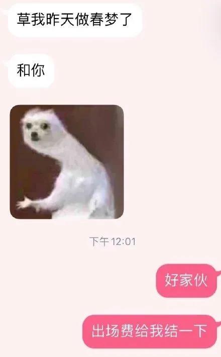 钢铁直男遇上钢铁直女是什么电影,钢铁直男和钢铁直女组合叫什么