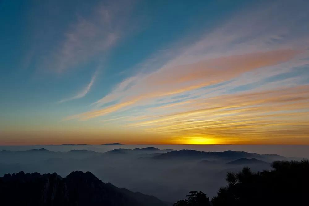 大自然的规律和启示,大自然的预知能力