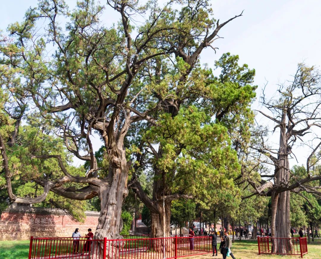 中岳嵩山跟嵩山少林有什么区别吗,被低估的嵩山不止有少林